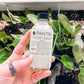 Clean Skin Toners - Control Oil, Hydrate, pH Balance